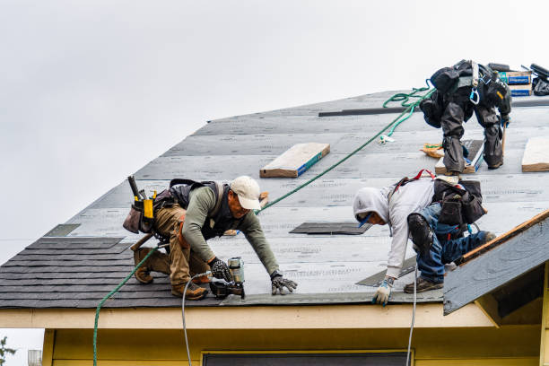 Professional Roofing technician working in Hilton, NY